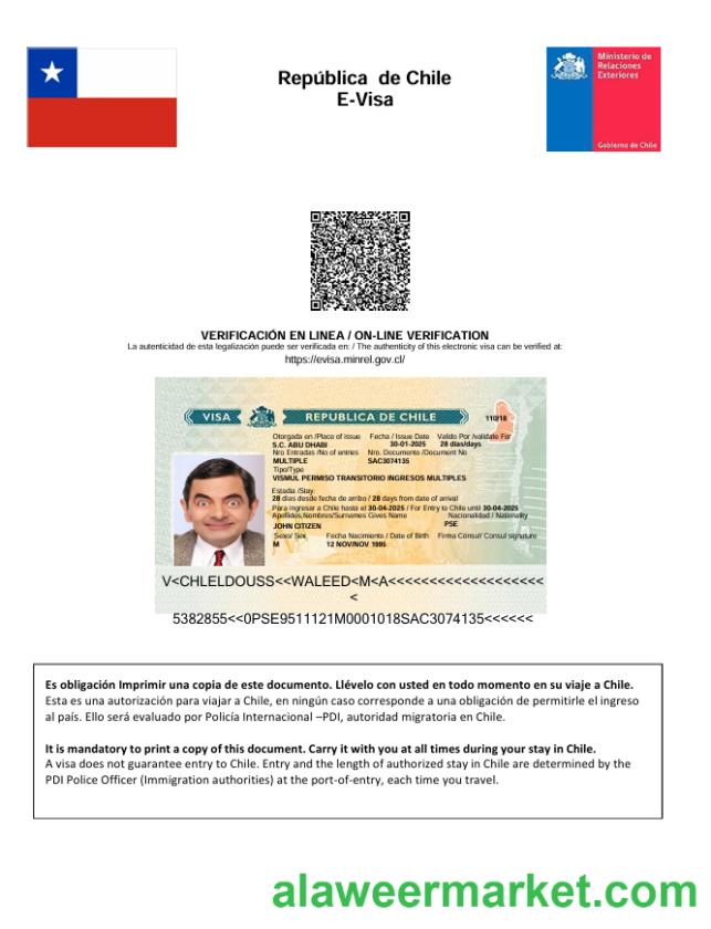 Chile e-visa template in Word and PDF formats